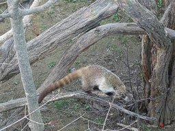 Tiergarten Schönbrunn am 23.03.2023